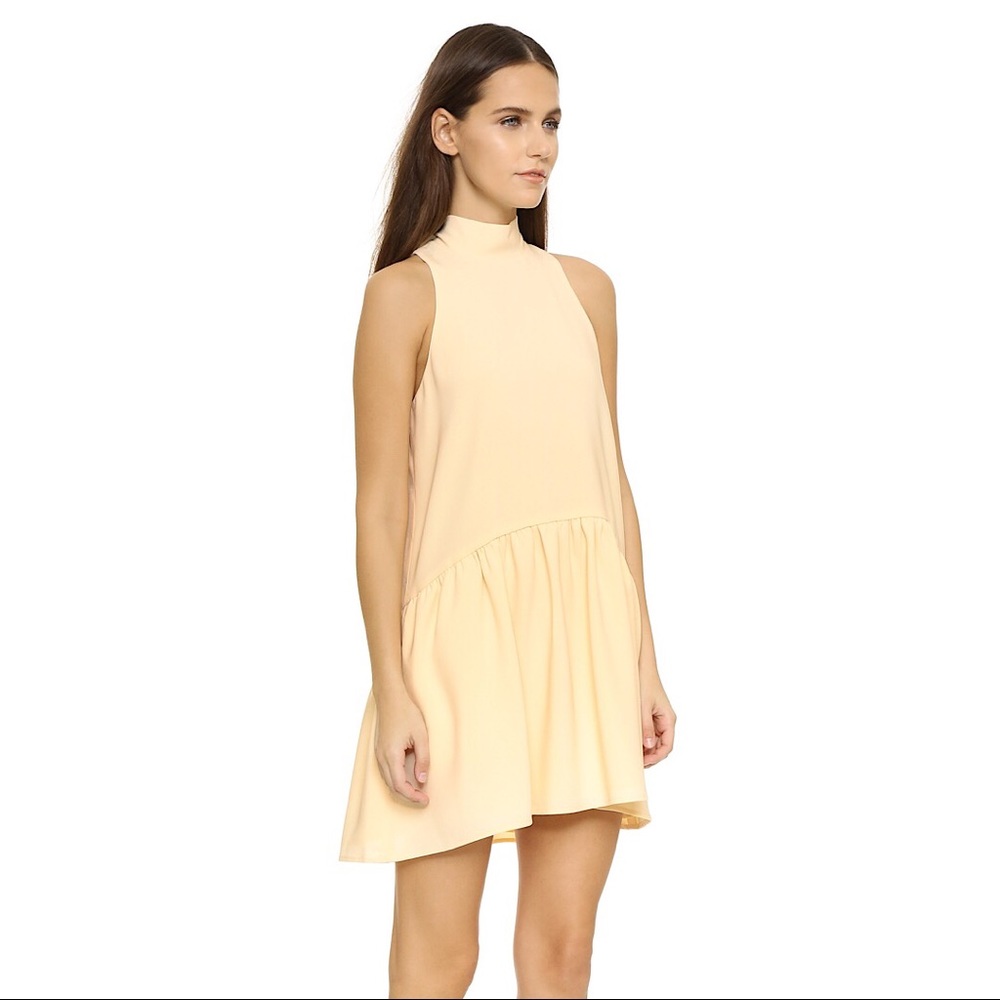 Elizabeth and James Trisha dress NWT